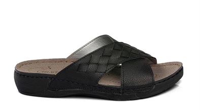 CV 150991 Z.9   36-40   50