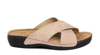 CV 150941 Z.   36-40   77