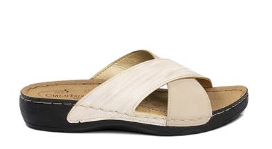 CV 150941 Z.   36-40   56