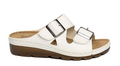 CV 160117 Z.9   36-40   51