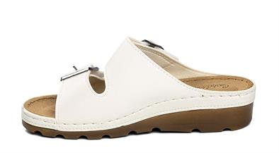 CV 160117 Z.9   36-40   51