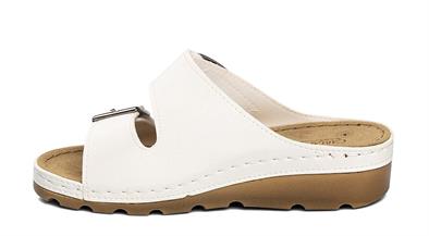 CV 160117 Z.9   36-40   51