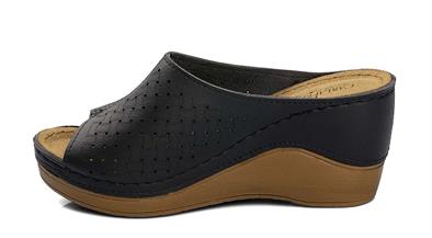 CV 170640 Z.9   36-40   50