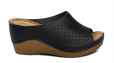 CV 170640 Z.9   36-40   50