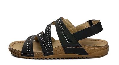 CV 213618 Z   36-40   50