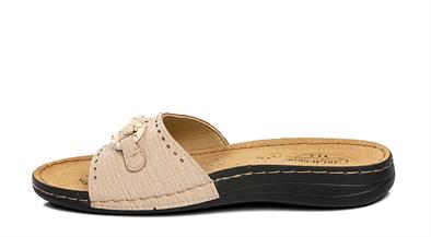 CV 5723 Z.   36-40   77