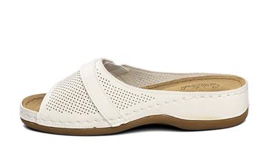 CV 5934 Z.9   36-40   51