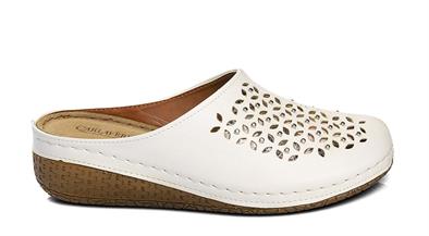 CV 8670 Z.9   36-40   51