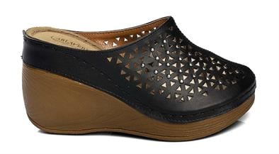 CV 9102 Z.9   36-40   50