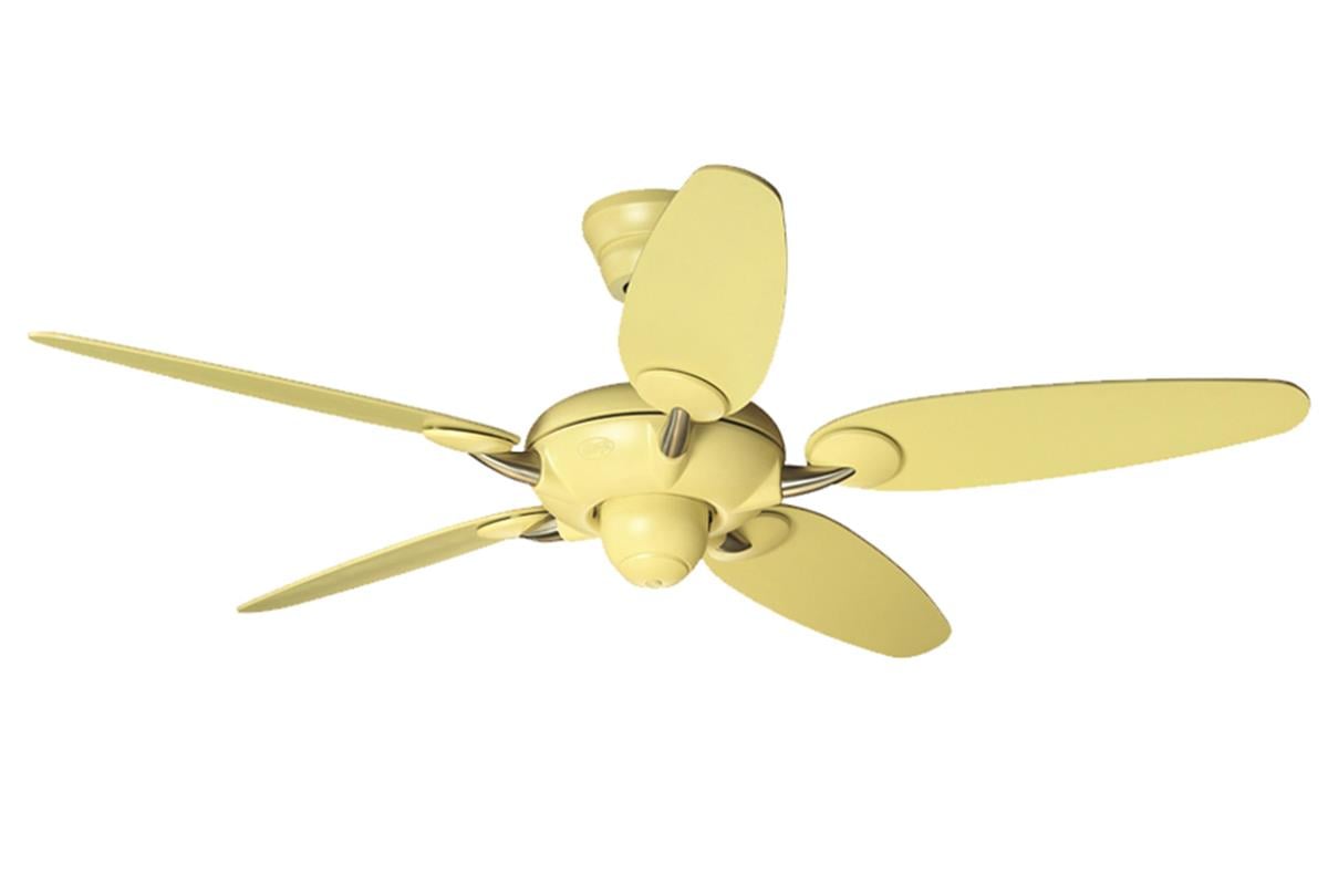 Alchemy Lime - 137 Cm. Tavan VantilatörüHunterFan