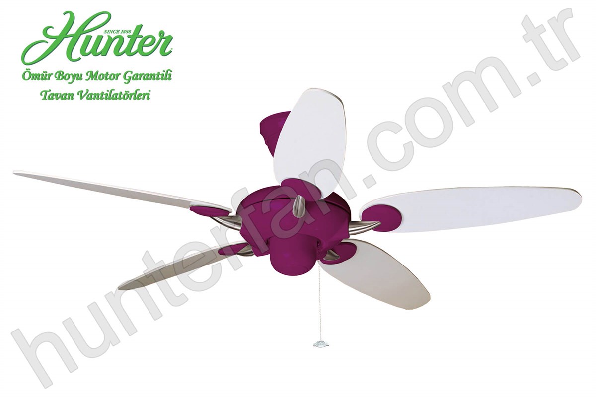 Alchemy Menekşe - 137 Cm. Tavan VantilatörüHunterFan