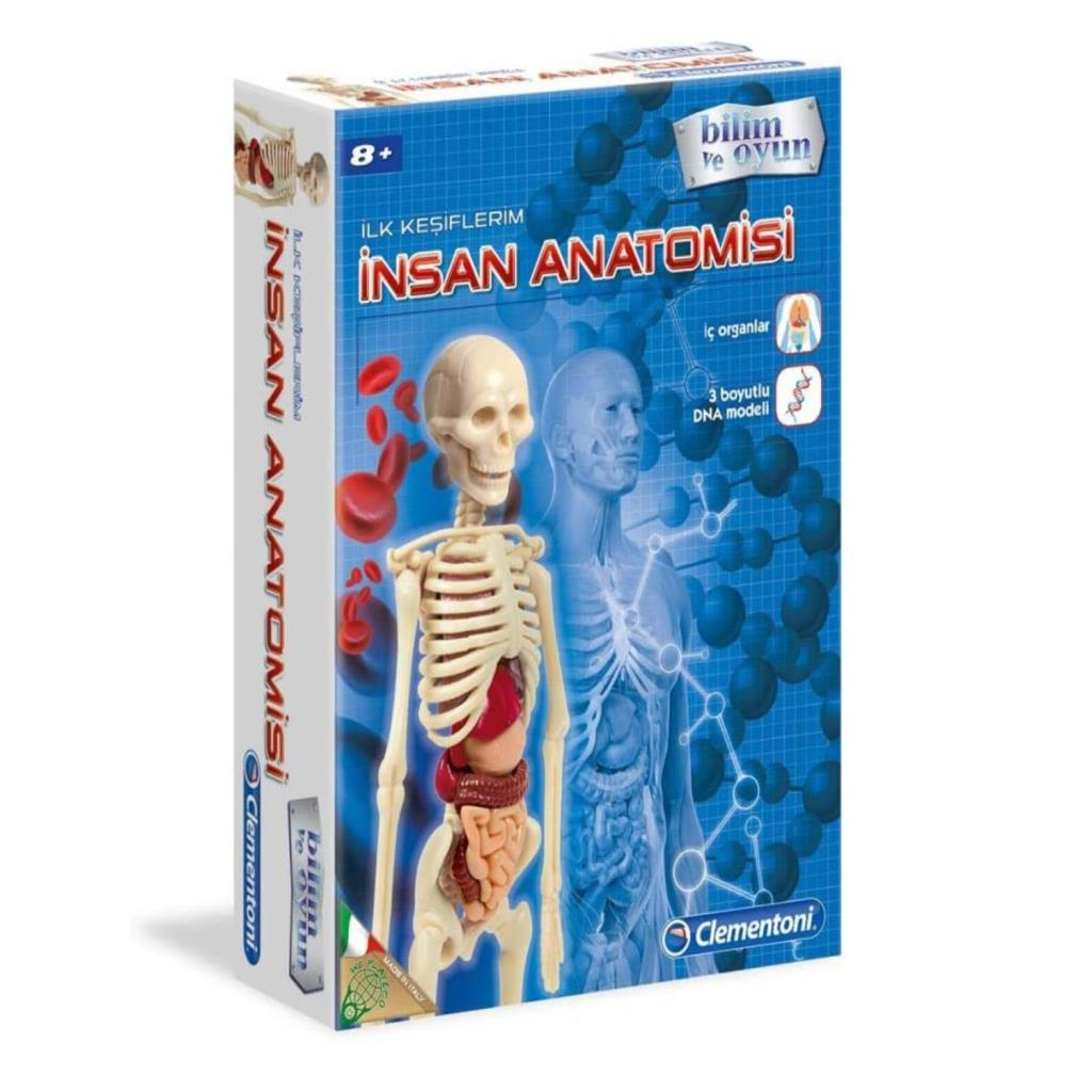 CLEMENTONIİlk Keşiflerim İnsan Anatomis 64297