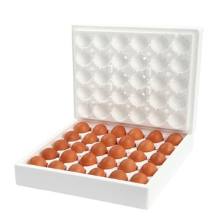 Organik Yumurta- 30'lu