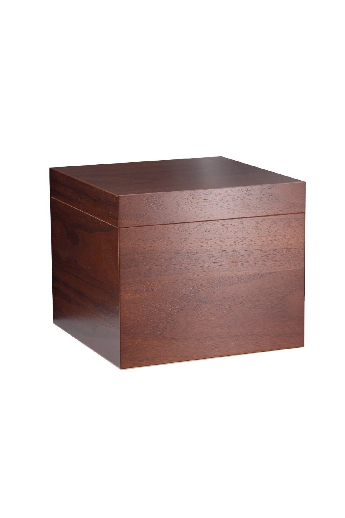 Adorini Vedado Humidor Puro Kutusu