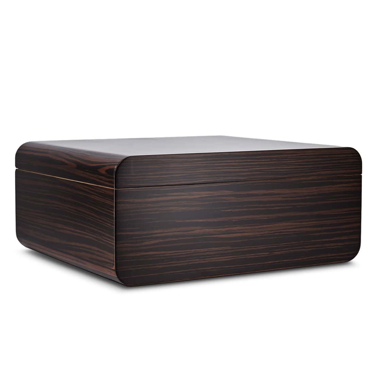 Adorini Novara M Humidor Puro Kutusu