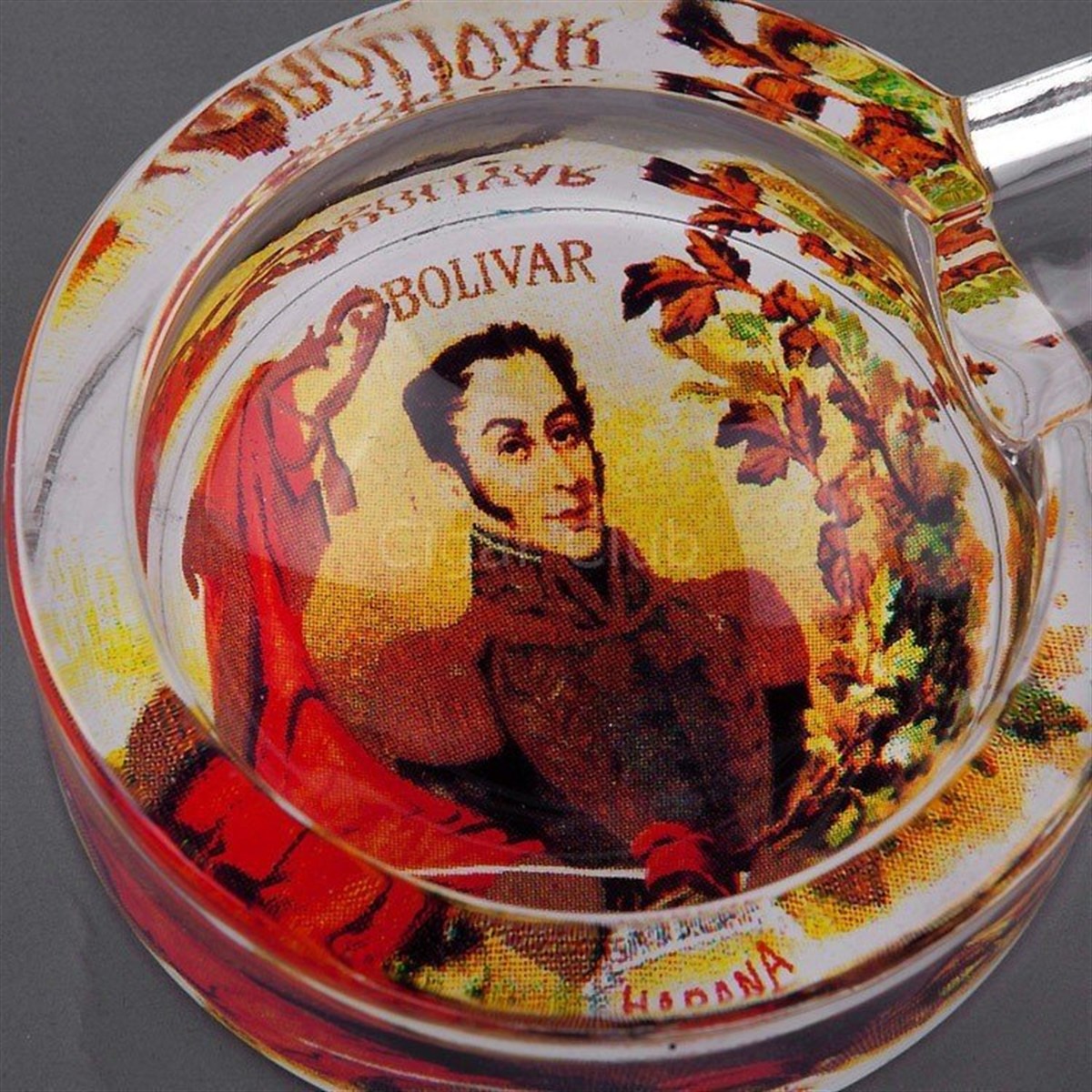Bolivar Tekli Puro Küllüğü