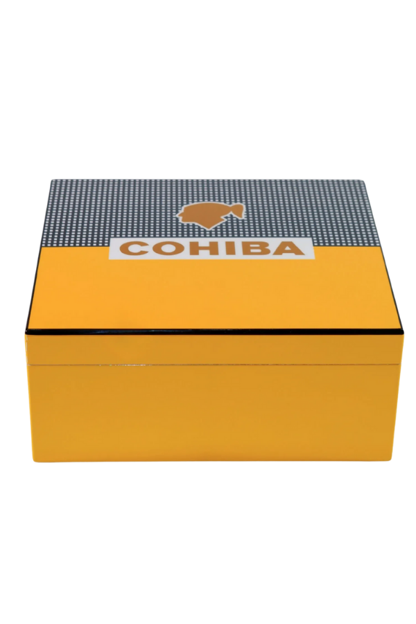 Cohiba Sarı-Karbon Desenli Puro Humidor Seti