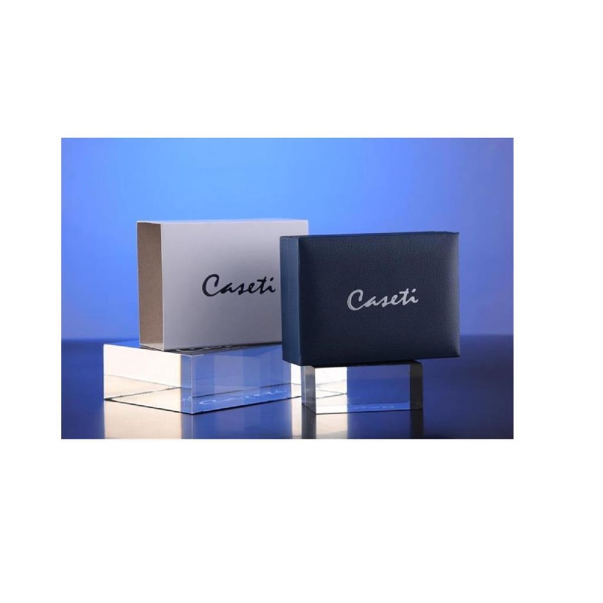Caseti Tek Torch Pürmüz Gümüş Desenli Puro Çakmak CA059008