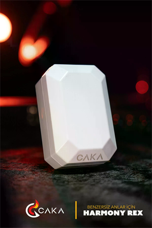 Caka Lighter Rex Harmony Kahve Benzinli Çakmak