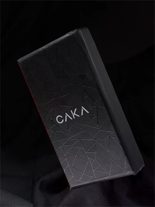 Caka Lighter Yaldız Desen Benzinli Çakmak