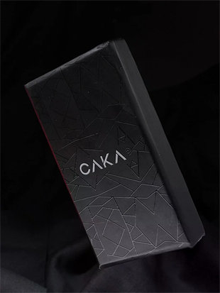 Caka Lighter Salvia Desen Silver Benzinli Çakmak