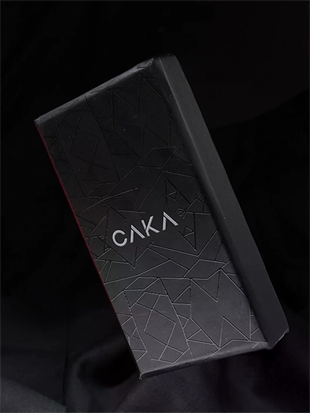 Caka Lighter Selçuk Desen Silver Benzinli Çakmak