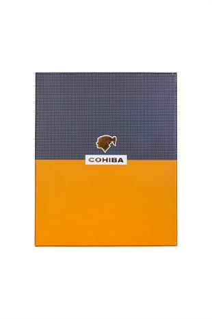 Cohiba Çakmak Kesici Kılıf Küllük Sehpa Beşli Gold - Gümüş Puro Seti