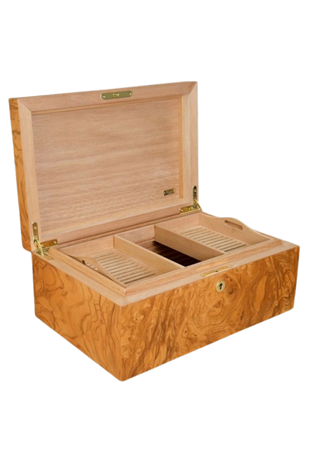 Adorini Olive Ash Burl Grande Sedir Humidor Puro Kutusu