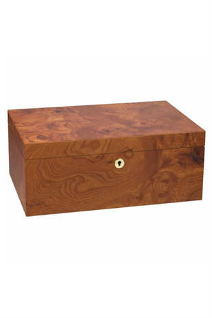Adorini Olive Ash Burl Grande Sedir Humidor Puro Kutusu