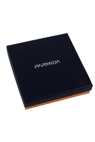 Parmida Çakmak Küllük İkili Siyah Puro Seti