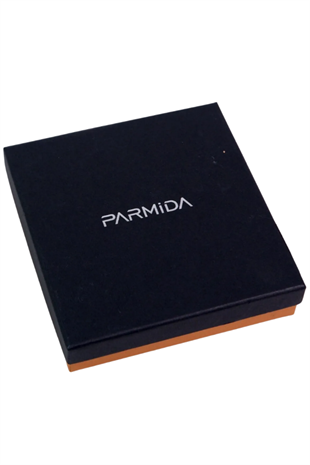 Parmida Çakmak Küllük İkili Gümüş Puro Seti