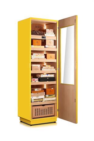 Raching Elektronik Puro Dolabı Sarı-Siyah COH275A