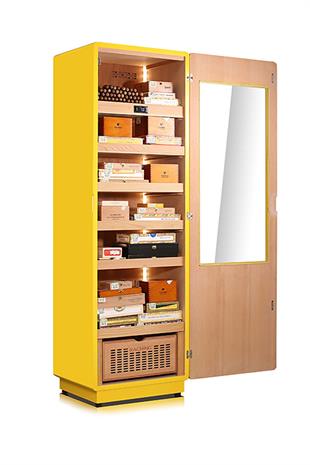 Raching Elektronik Puro Dolabı Sarı-Siyah COH275A