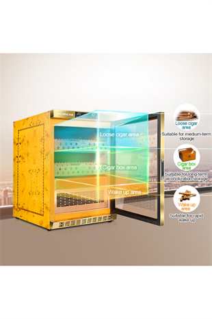 Raching Elektronik Puro Dolabı Gold MON800A