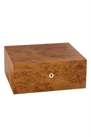 Adorini Elm Burl Grande Sedir Humidor Puro Kutusu