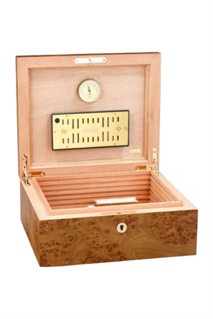 Adorini Elm Burl Grande Sedir Humidor Puro Kutusu