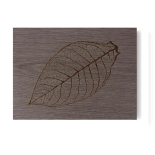 Zino Davidoff Z60 Leaf Gri Oak Humidor Puro Kutusu 112387