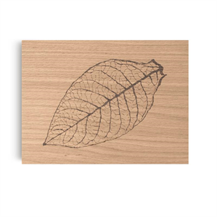Zino Davidoff Z60 Leaf Natural Oak Humidor Puro Kutusu 112388