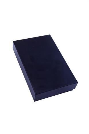 PQ Gri Timsah Desenli İkili Puro Kılıfı