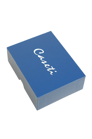 Caseti Tek Torch Perde Alev Mavi Gümüş Metal Puro Çakmağı