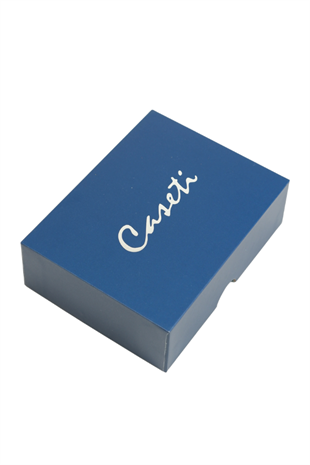 Caseti Tek Torch Perde Alev Sarı Gümüş Metal Puro Çakmağı