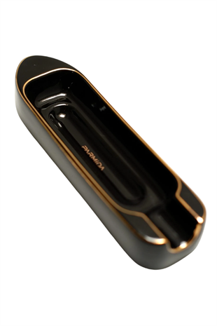 Parmida Siyah Gold Şeritli Tekli Porselen Puro Küllüğü