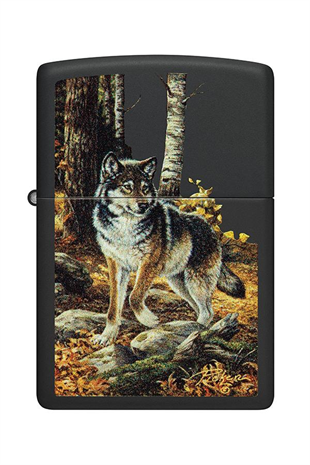 Zippo Çakmak 48970-112191 218 Linda Picken