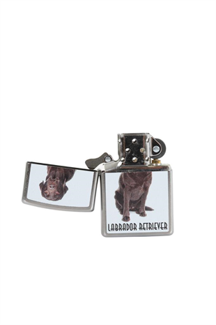 Zippo Çakmak Labrador Retriever