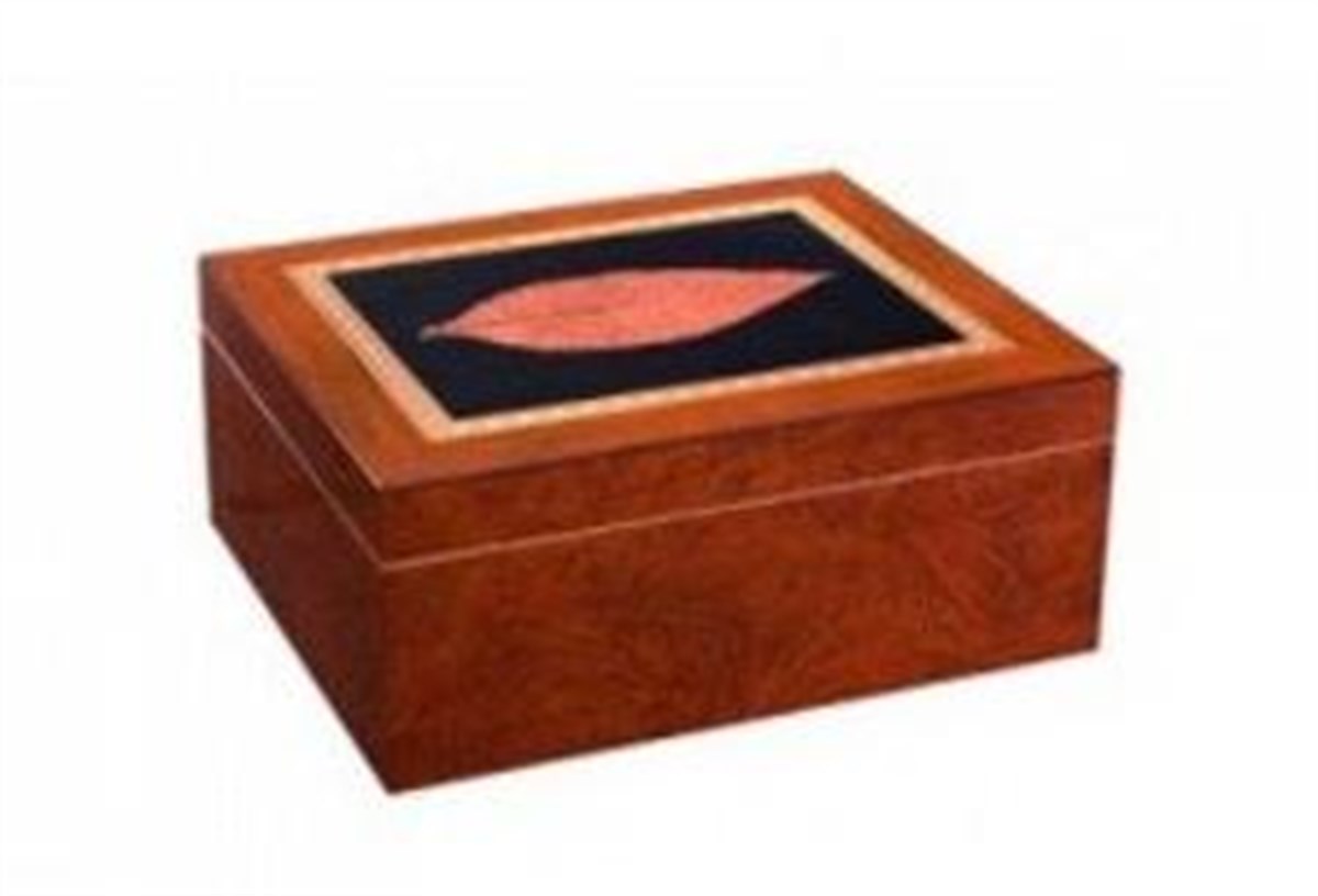 TR667,Adorini Venezia Humidor Puro Kutusu