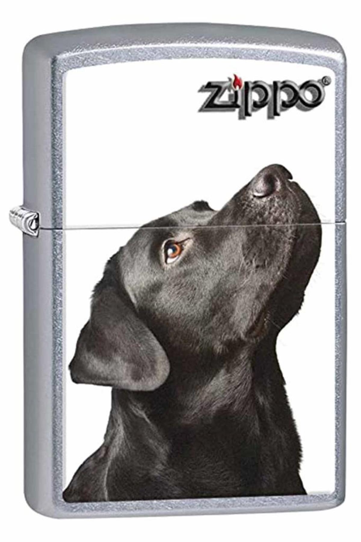 TR5551,Zippo Çakmak Black Labrador Retriever