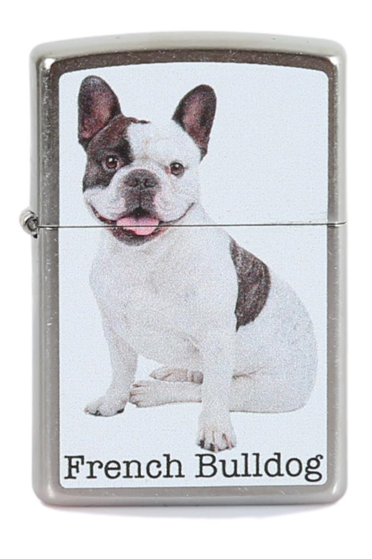 TR5591,Zippo Çakmak French Bulldog