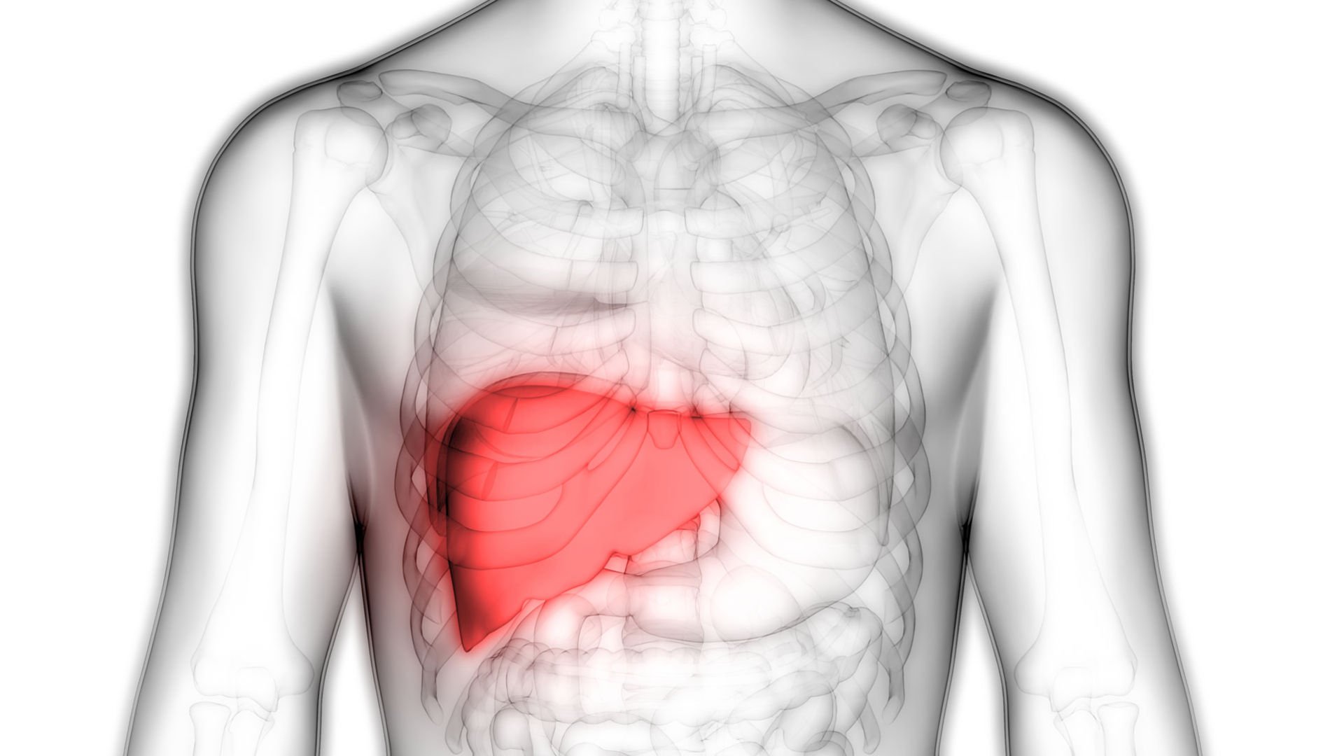 WHAT IS PROTEIN METABOLISM DISORDER?