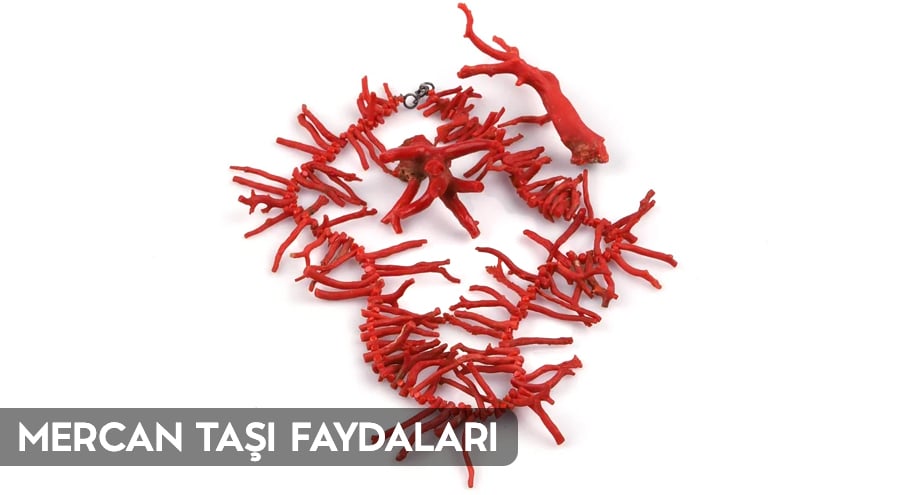 Mercan Taşı Faydaları