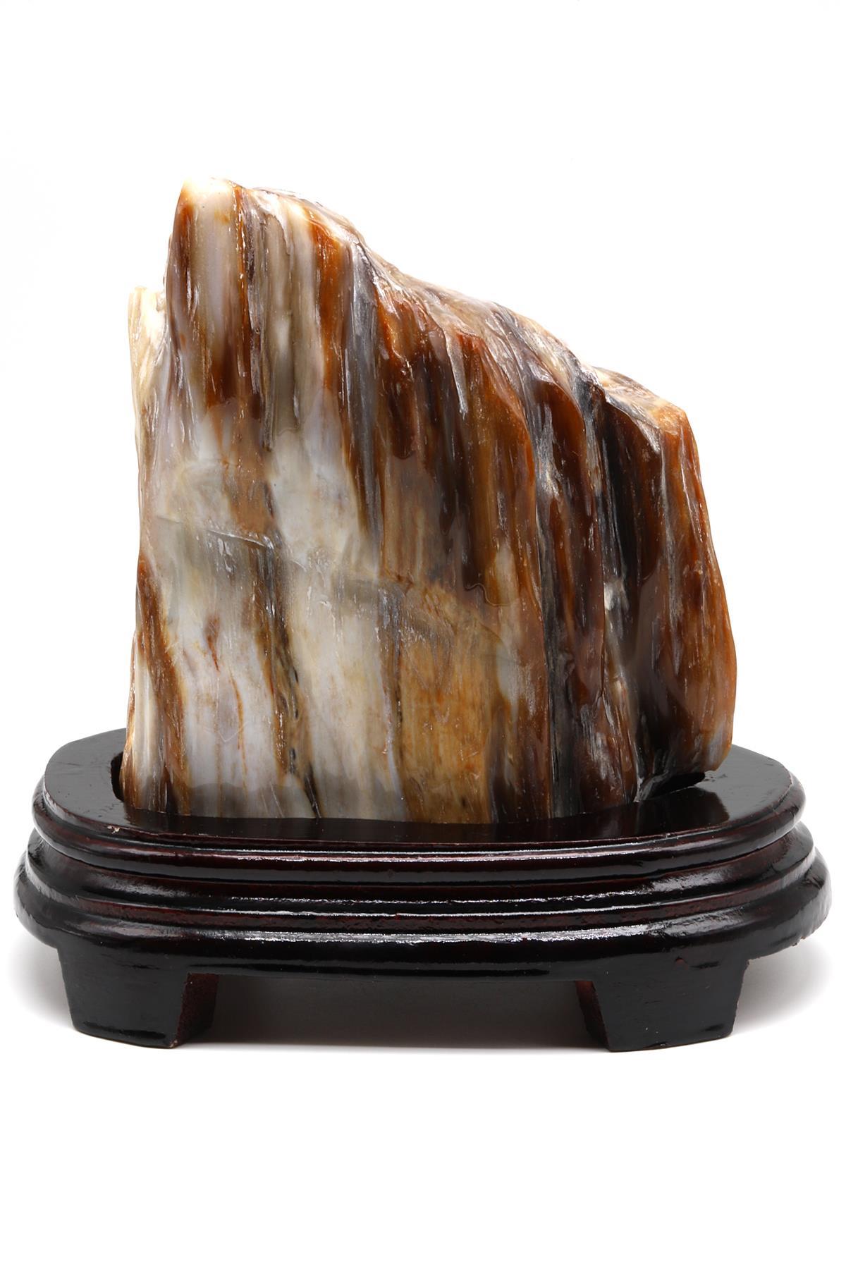 Ağaç Fosili Standlı Parça